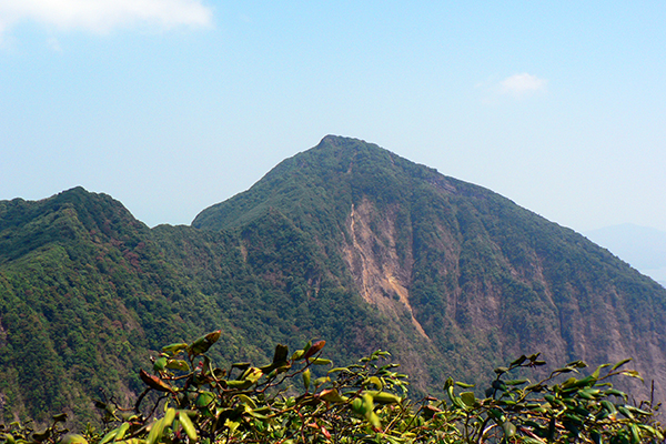 coffee tour nicaragua